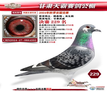 甘肅天霸決賽229名