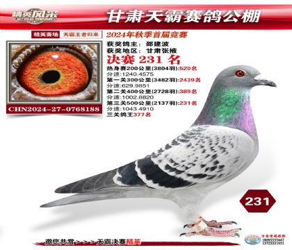 甘肅天霸決賽231名