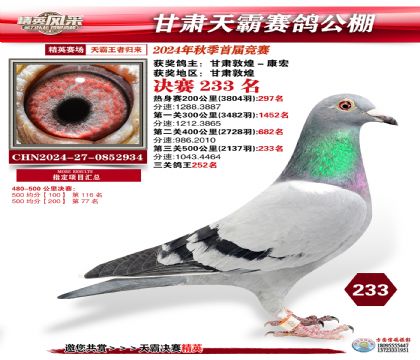 甘肅天霸決賽233名