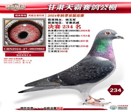 甘肅天霸決賽234名
