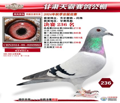 甘肅天霸決賽236名