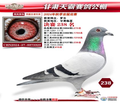 甘肅天霸決賽238名