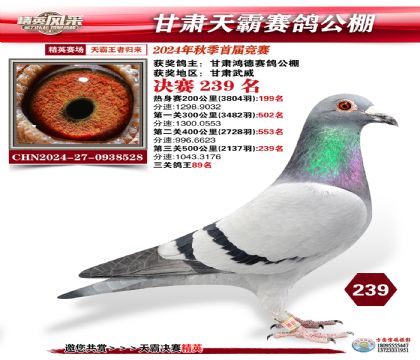 甘肅天霸決賽239名
