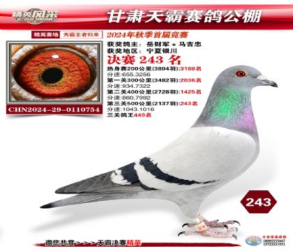 甘肅天霸決賽243名