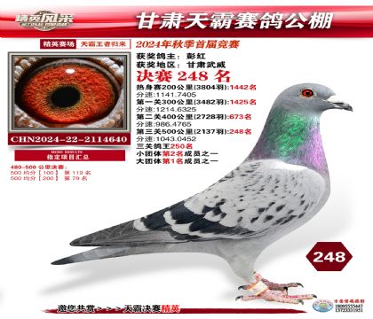 甘肅天霸決賽248名