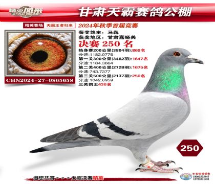 甘肅天霸決賽250名