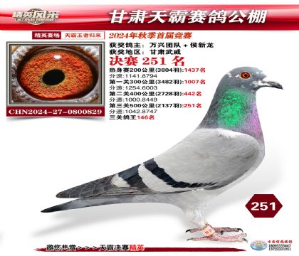 甘肅天霸決賽251名