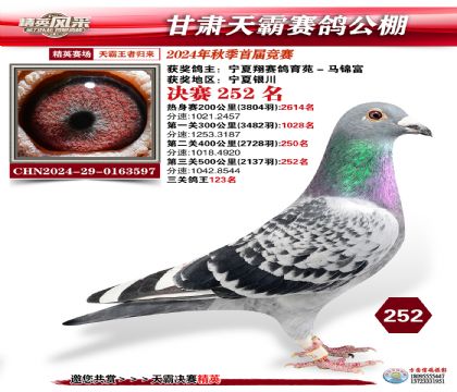 甘肅天霸決賽252名