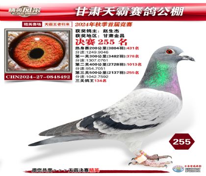 甘肅天霸決賽255名