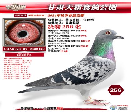 甘肅天霸決賽256名