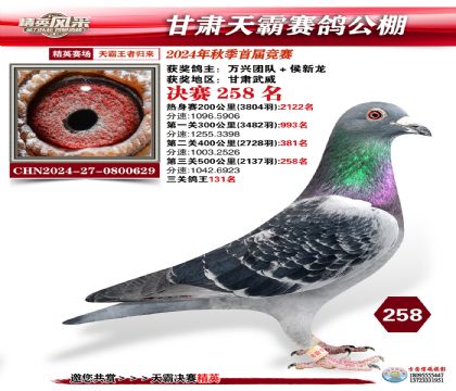 甘肅天霸決賽258名