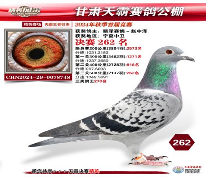 甘肅天霸決賽262名