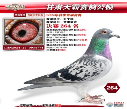 甘肅天霸決賽264名