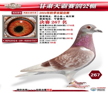 甘肅天霸決賽267名