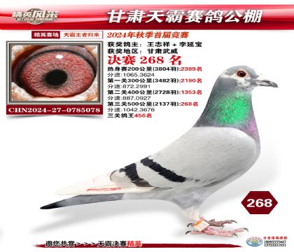 甘肅天霸決賽268名