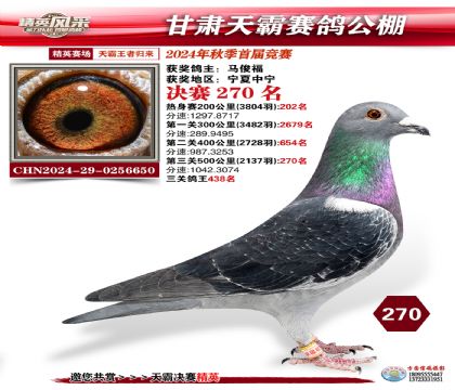 甘肅天霸決賽270名