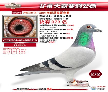 甘肅天霸決賽272名