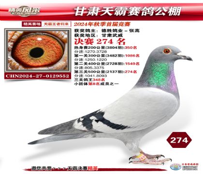 甘肅天霸決賽274名