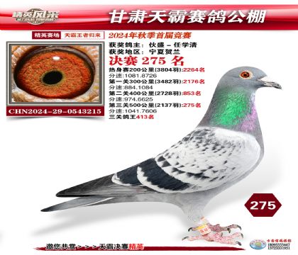 甘肅天霸決賽275名