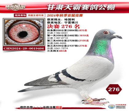 甘肅天霸決賽276名