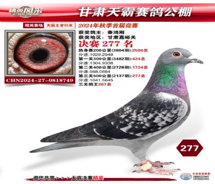 甘肅天霸決賽277名