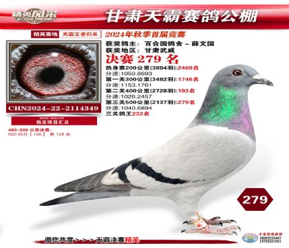 甘肅天霸決賽279名