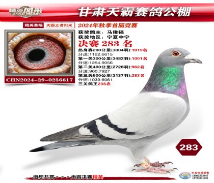 甘肅天霸決賽283名