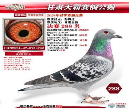 甘肅天霸決賽288名