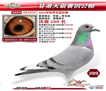 甘肅天霸決賽289名