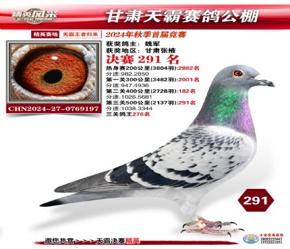 甘肅天霸決賽291名