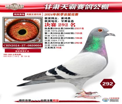 甘肅天霸決賽292名