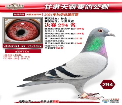 甘肅天霸決賽294名