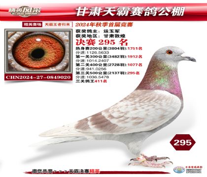 甘肅天霸決賽295名
