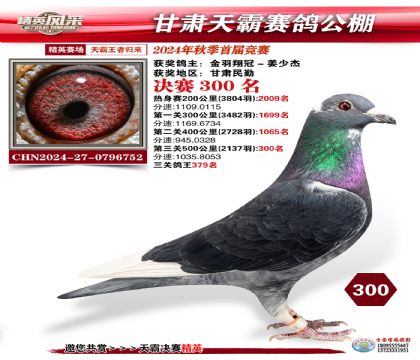 甘肅天霸決賽300名