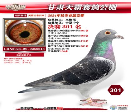 甘肅天霸決賽301名