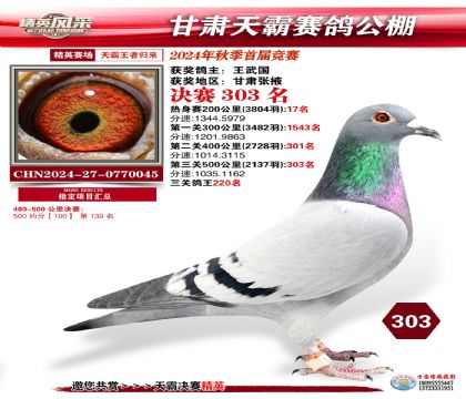 甘肅天霸決賽303名