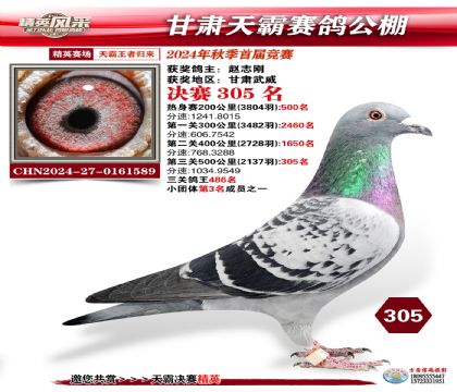 甘肅天霸決賽305名