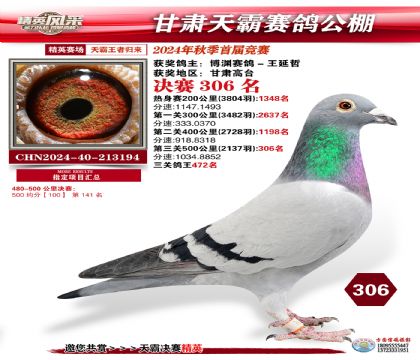 甘肅天霸決賽306名