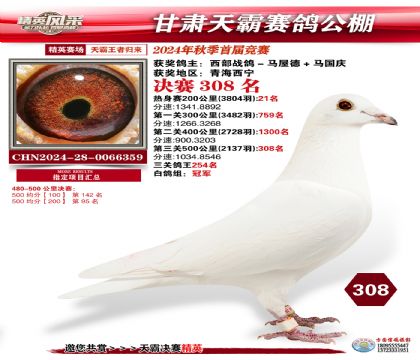 甘肅天霸決賽308名
