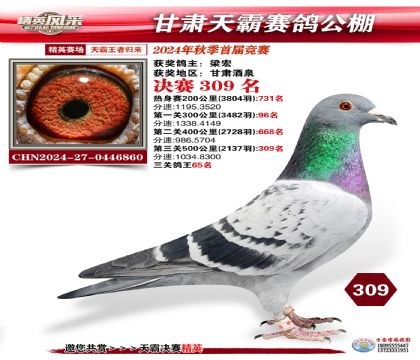 甘肅天霸決賽309名