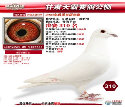 甘肅天霸決賽310名