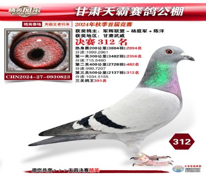 甘肅天霸決賽312名