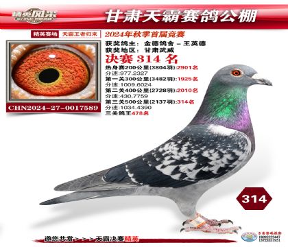 甘肅天霸決賽314名