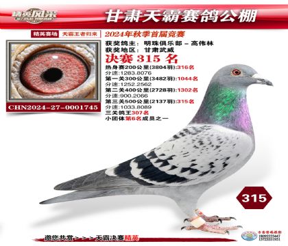 甘肅天霸決賽315名
