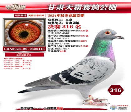 甘肅天霸決賽316名