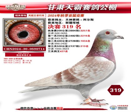 甘肅天霸決賽319名