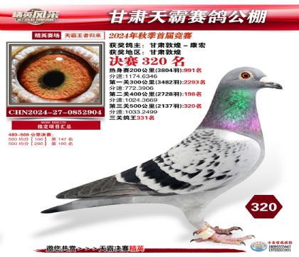 甘肅天霸決賽320名
