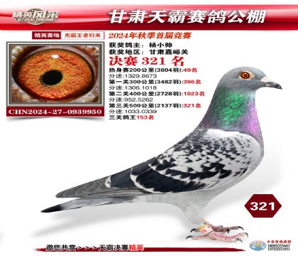 甘肅天霸決賽321名