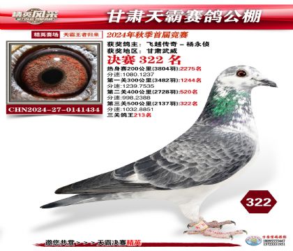 甘肅天霸決賽322名