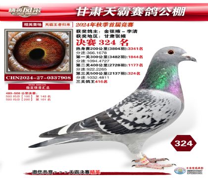 甘肅天霸決賽324名